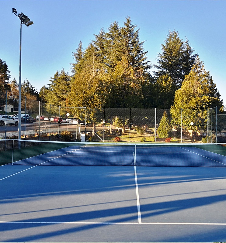 tenis
